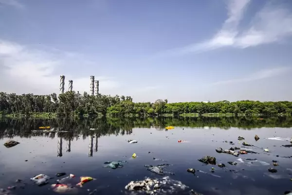 Essay on Growing Pollution in Rivers