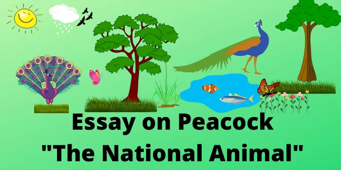 Essay on Peacock in Hindi